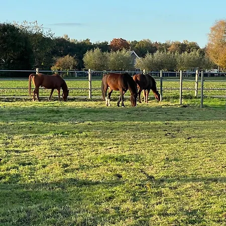 Lejlighed Equi Guidance Wapenveld