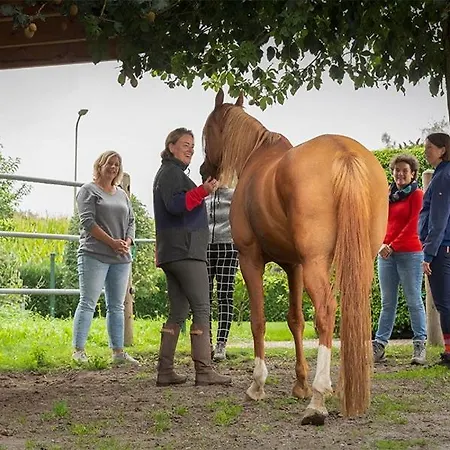 Equi Guidance Wapenveld