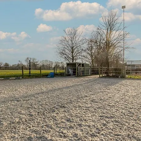 Equi Guidance * Wapenveld
