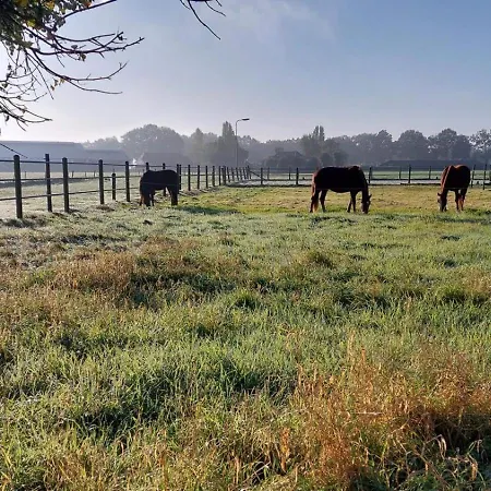 Lejlighed Equi Guidance