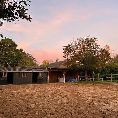 Equi Guidance Apartment *