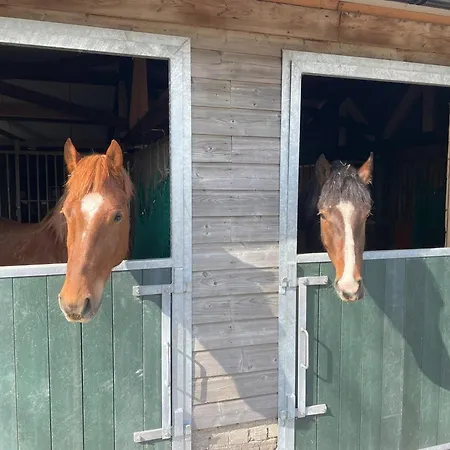 Apartment Equi Guidance *