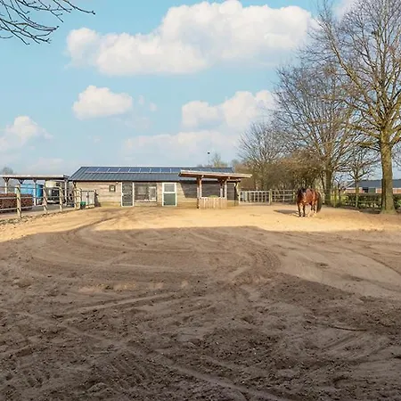 Equi Guidance Wapenveld