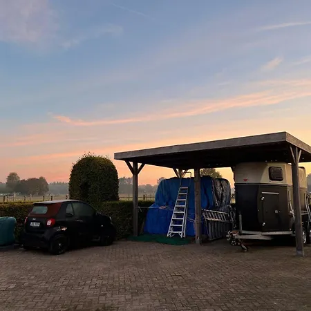 Equi Guidance Wapenveld