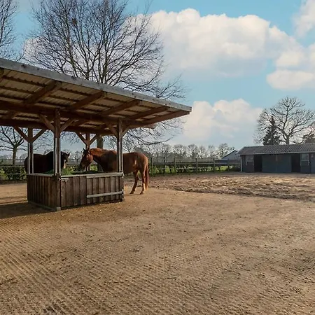 Apartment Equi Guidance Wapenveld