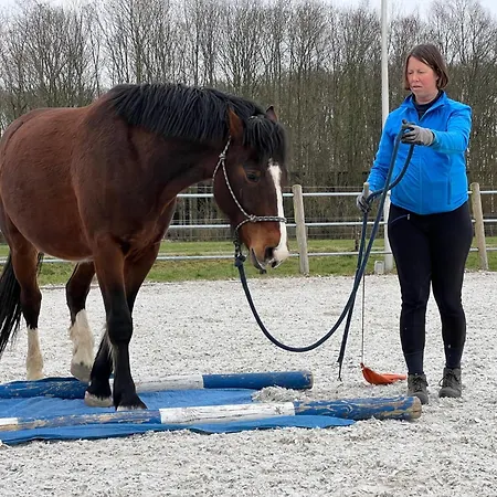 Equi Guidance Apartment Wapenveld